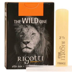 里歌蒂rigotti