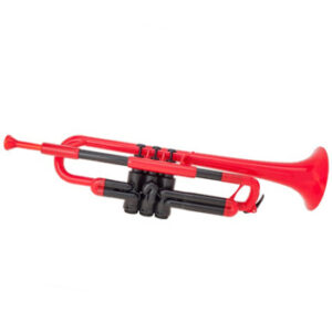 皮朋pBone